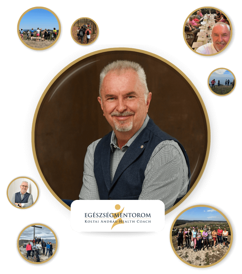 rolam andras montazs 2026